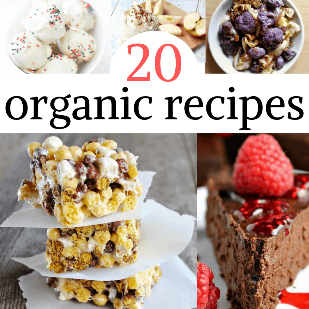 Organic Recipes - Easy Dinner Ideas, Salads and Delicious Desserts